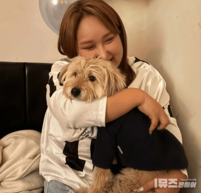 사진 : 방송인 풍자SNS