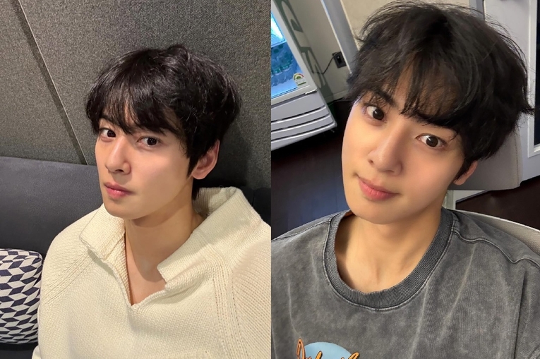  사진 : 차은우 SNS