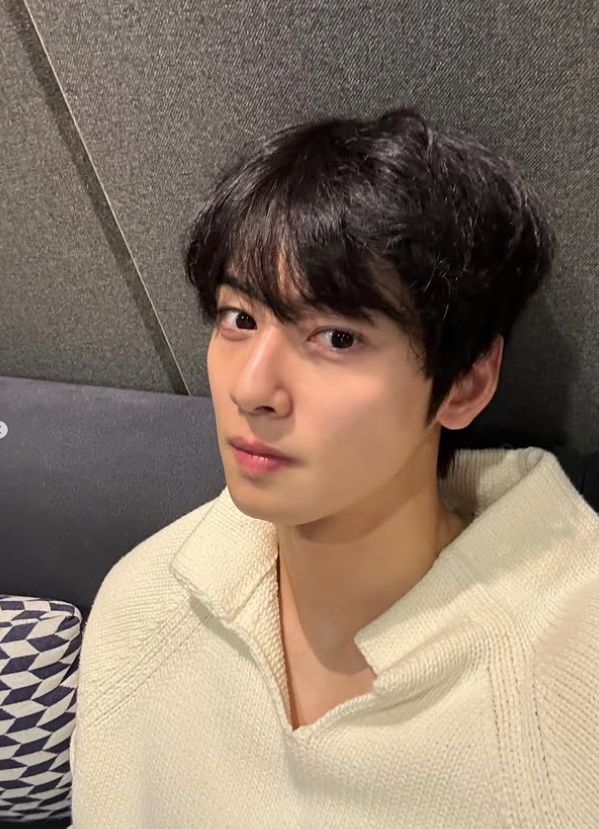 사진 : 차은우 SNS