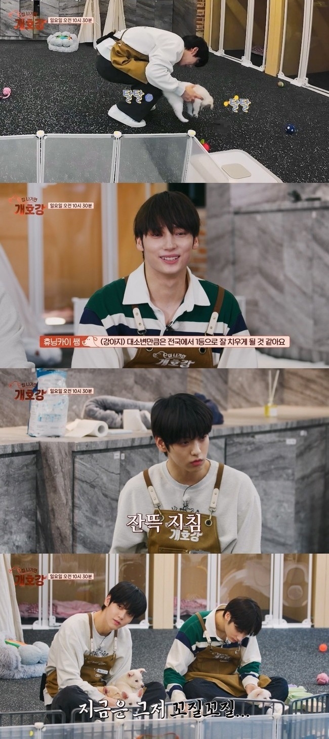  사진 : JTBC 예능 ‘집 나가면 개호강’