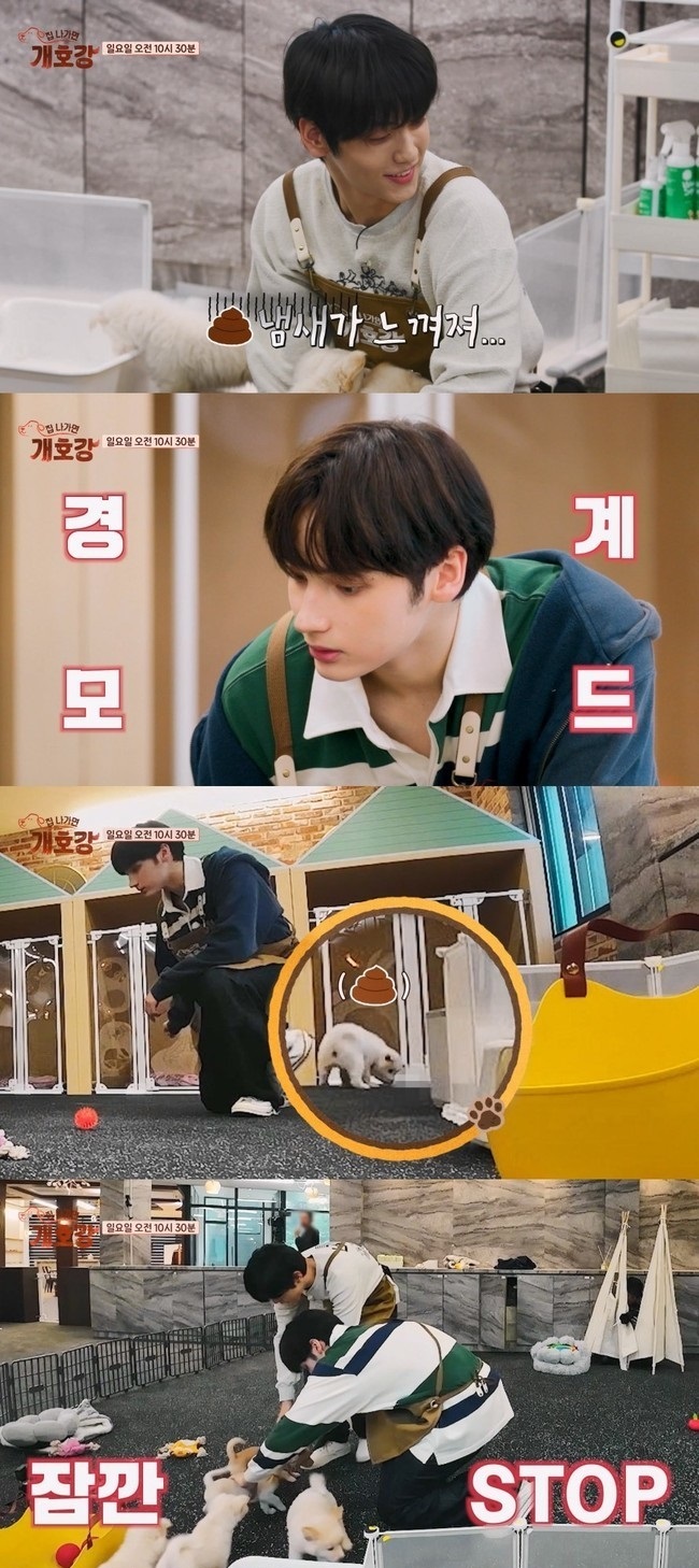  사진 : JTBC 예능 ‘집 나가면 개호강’