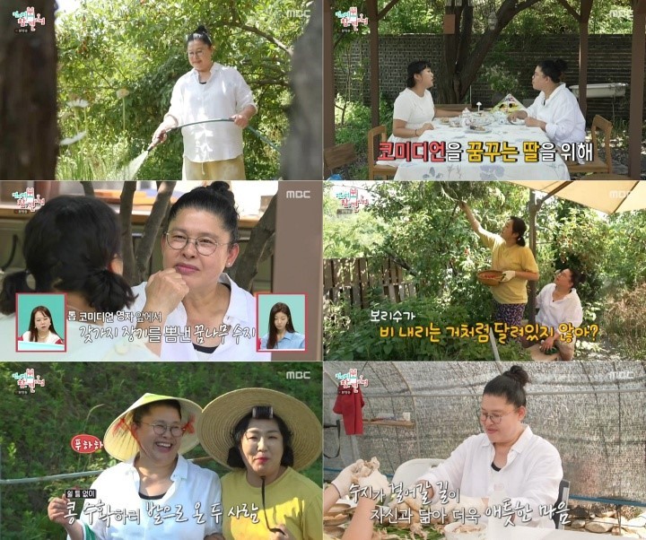 사진 : MBC 예능 프로그램 ‘전지적 참견 시점’ 방송 캡쳐 사진