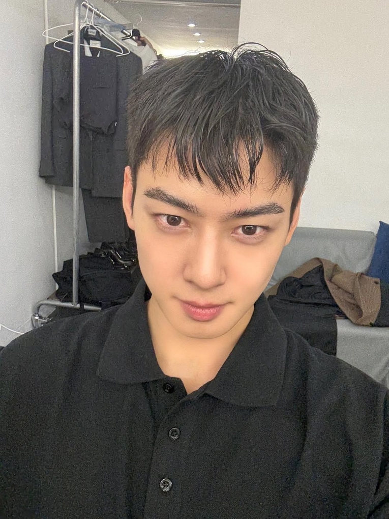  사진 : 가수 겸 배우 차은우 SNS
