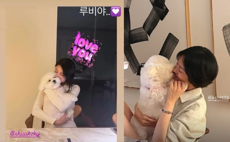 사진 : 수지, 송혜교 SNS